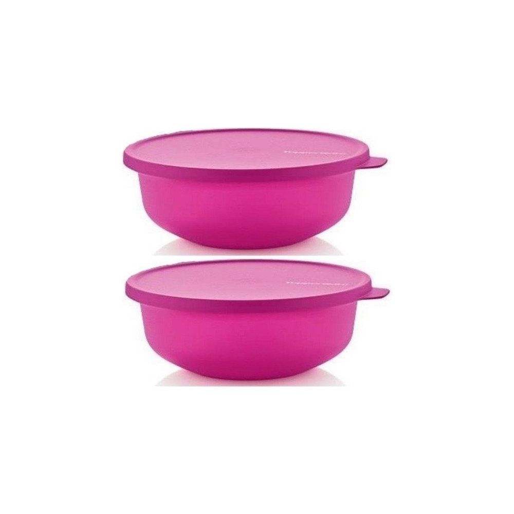 Tupperware Aloha 2'li 450 ml Saklama Kabı Fiyatları