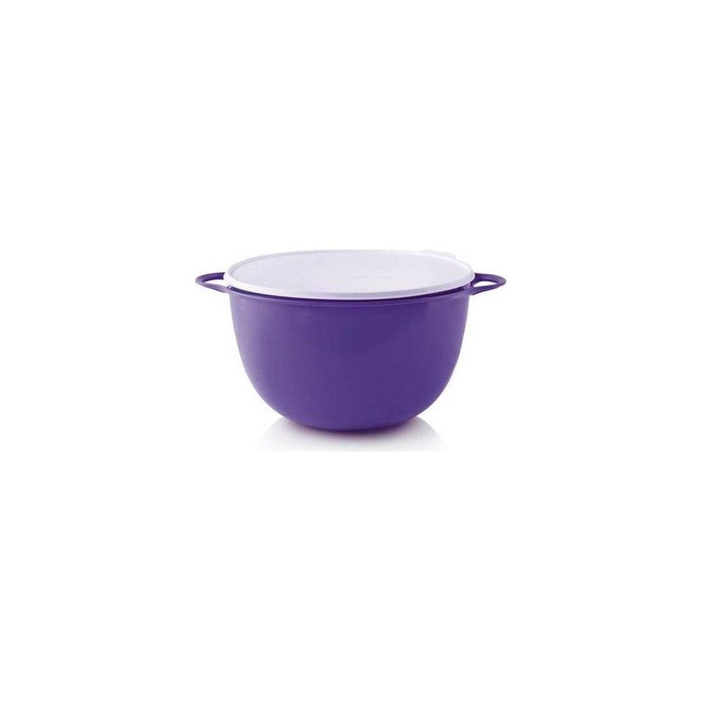 Tupperware Miksim 14 lt Saklama Kabı Fiyatları | Cimri