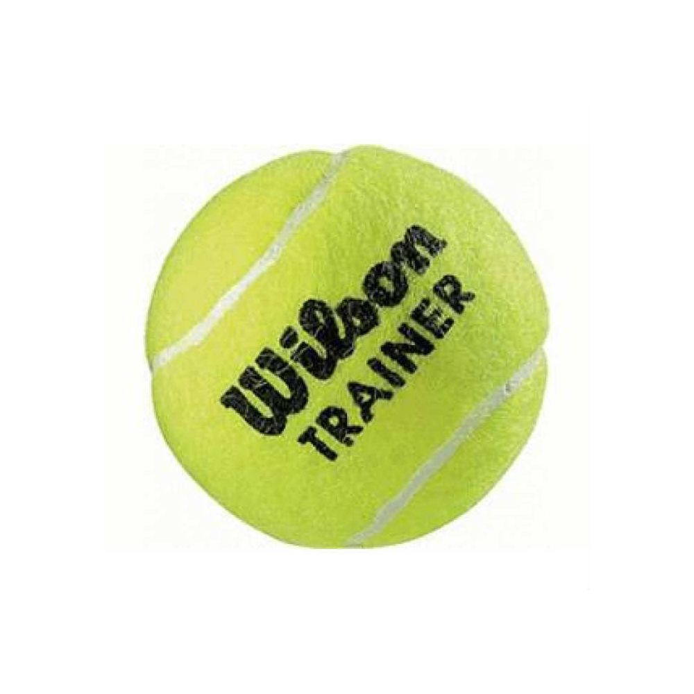 Wilson Wrt131100 Trainer Tenis Topu Fiyatlari