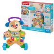Fisher Price FTG10 Eğitici Köpekçik Yürüteç Türkçe