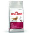 Royal Canin Fit 32 15 kg Yetişkin Kedi Maması