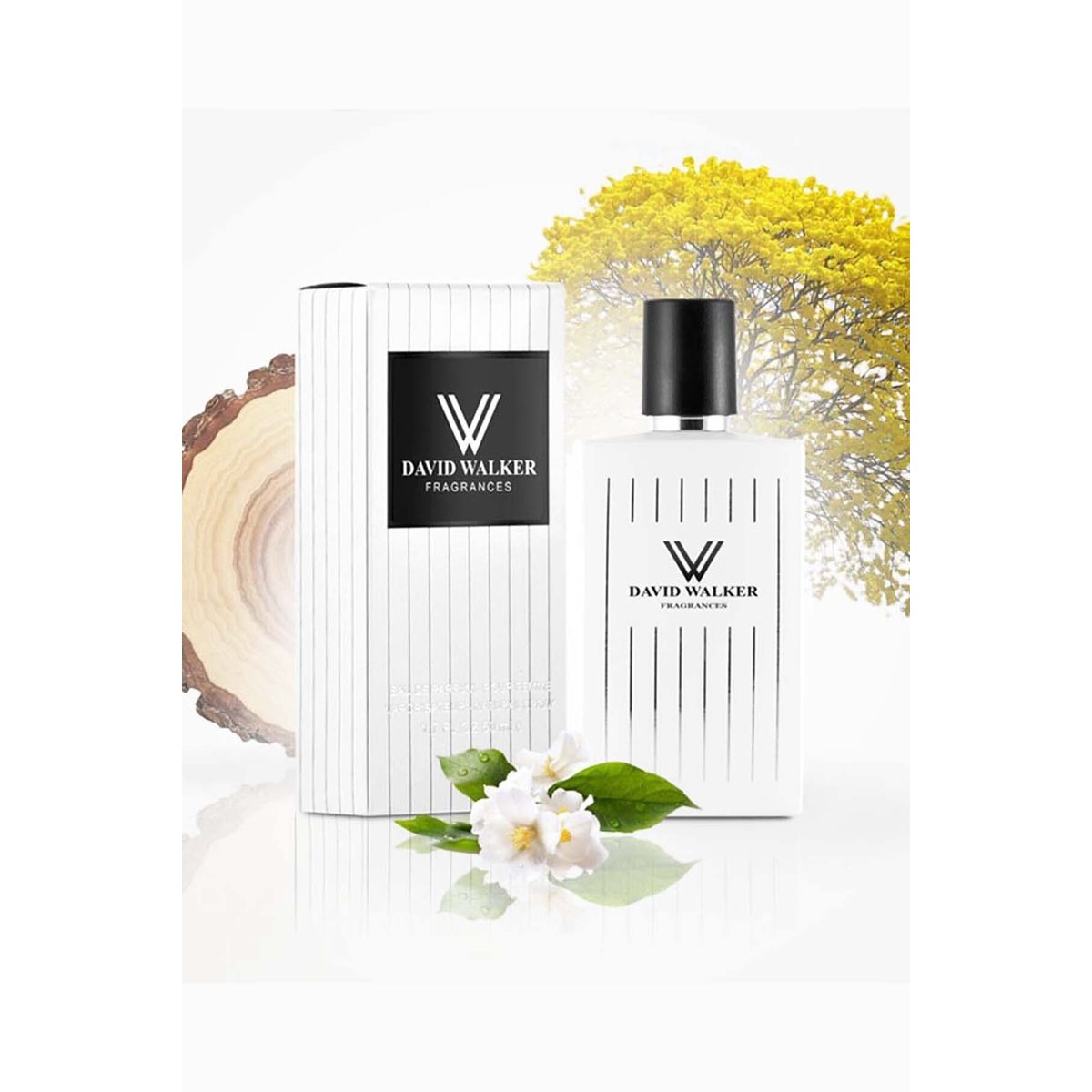 David Walker Zoro B81 Ferah&Oryantal EDP 100 ml Kadın Parfüm Fiyatları