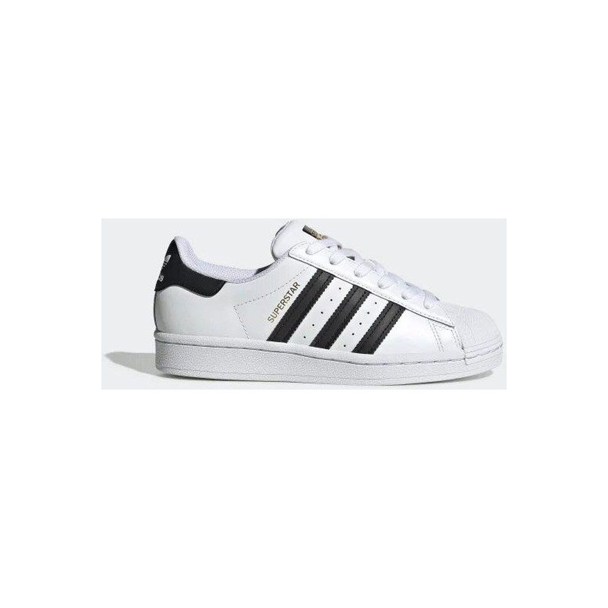 Superstar metal toe 36 top