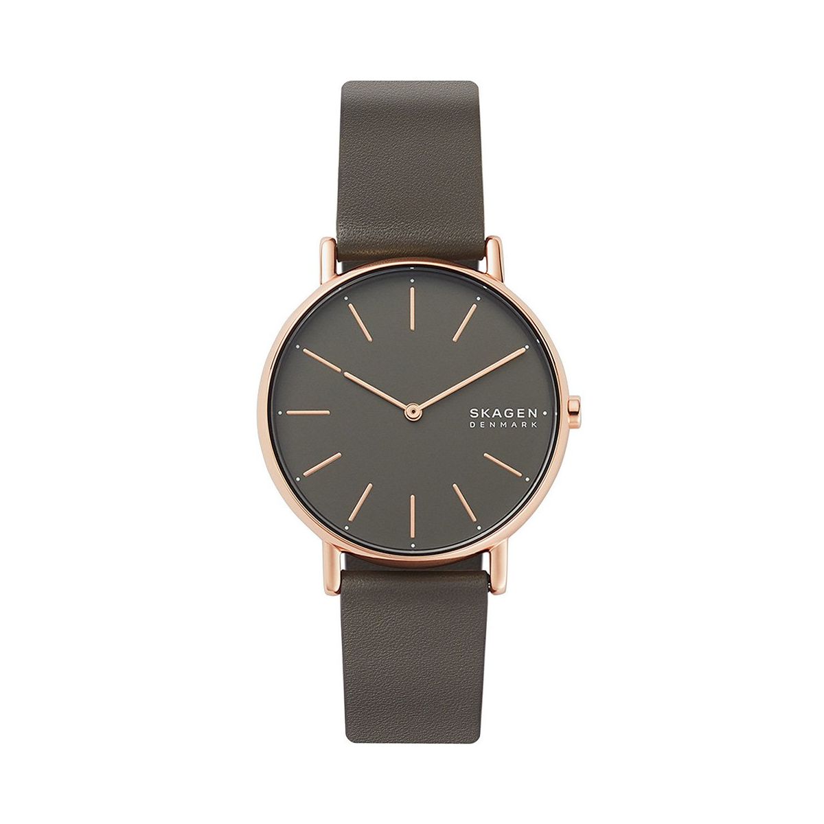 Skagen skw6213 deals