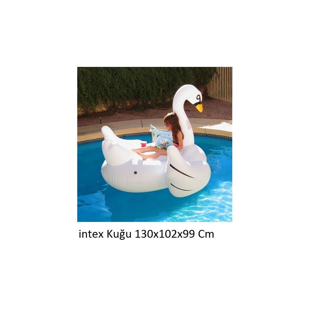 kuğu deniz yatağı