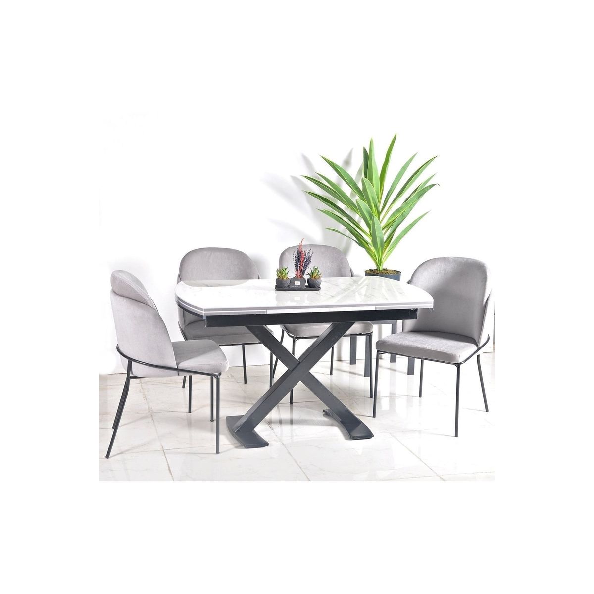 substrat monstera Sybotanica-Blumenerde – Monstera, Alocasia, Anthurium, Philodendren,  Orchideen – Studio Plantes