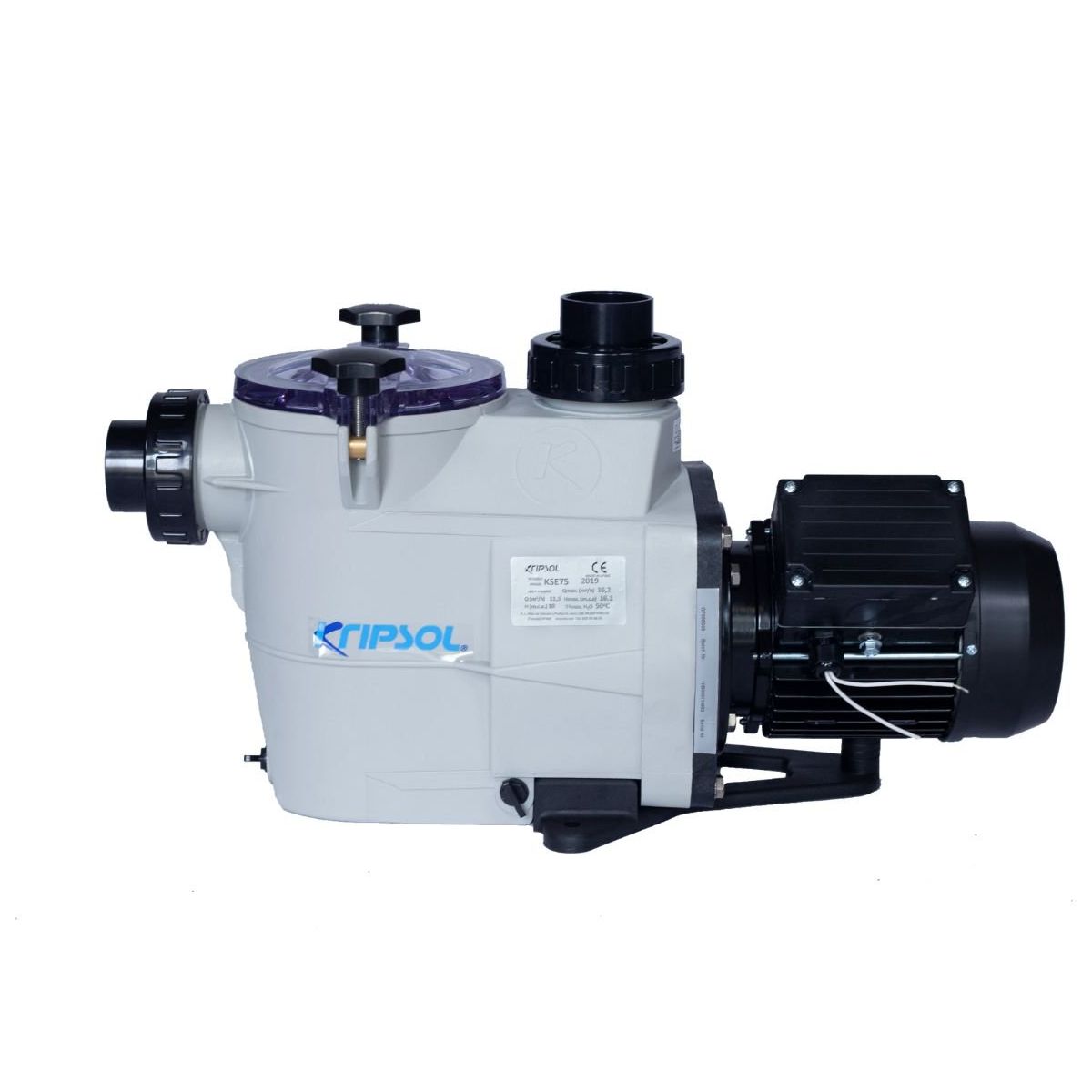 Kripsol Koral 2 HP Monofaze Pool Pump Havuz Pompası Fiyatları