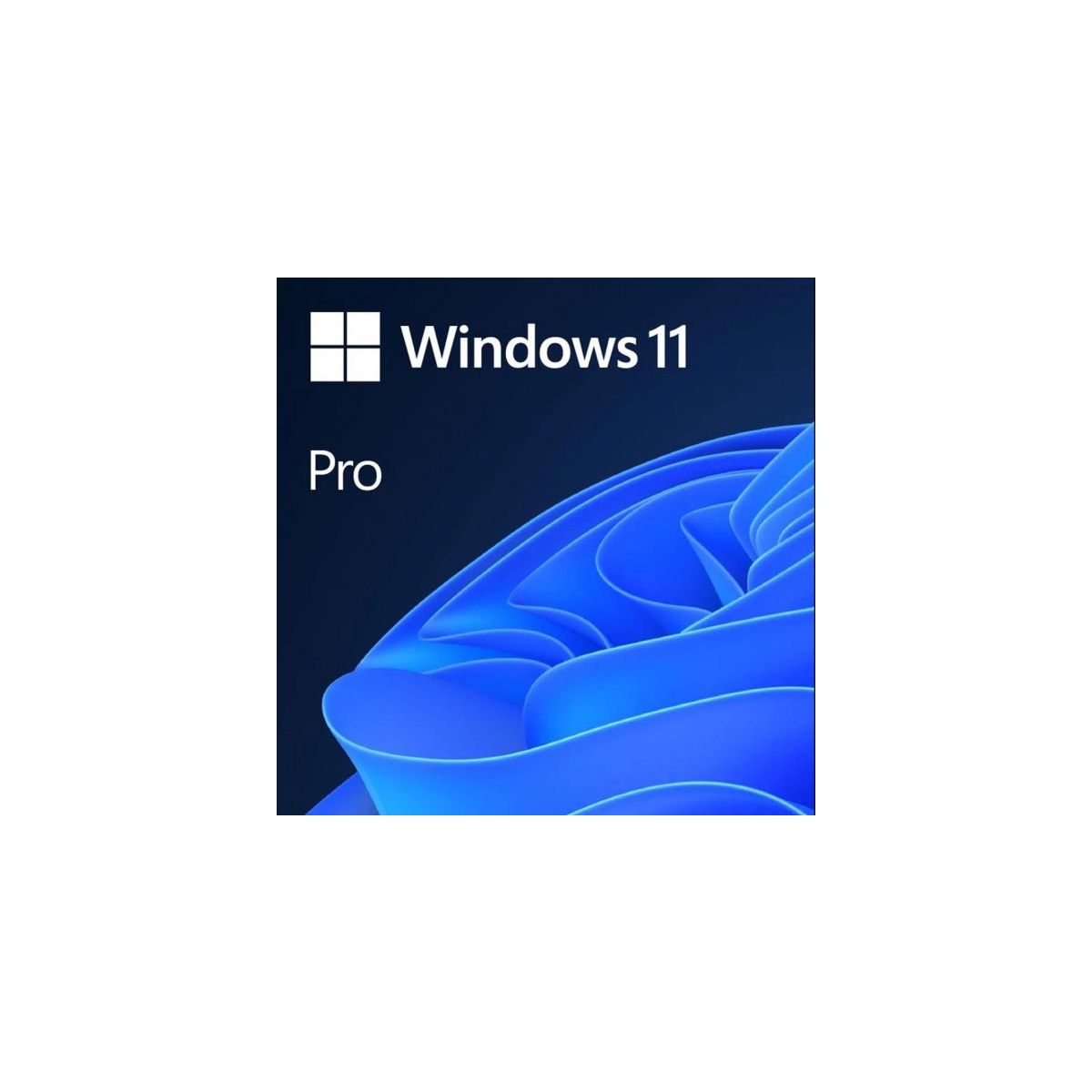 microsoft-hav-00159-windows-11