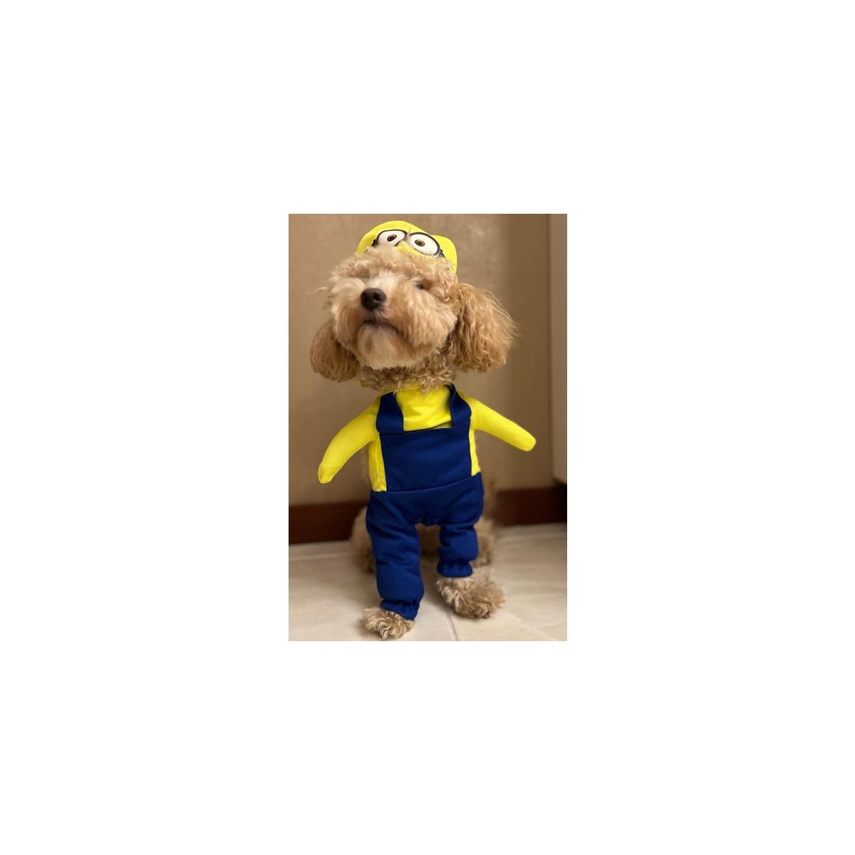 minion kostüm erwachsene selber machen