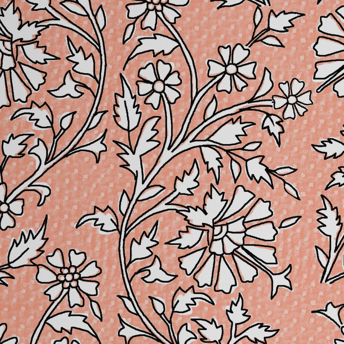 Qizlar velosiped haydashda qanday qilib hayajonlanadi (video) Jinsiy ayol bilan kurash