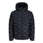 .Jack & Jones 12238600 Siyah Erkek Ceket