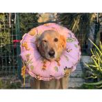 0.Rta-Büyük.ırk Köpek Boyunluk-Elizabeth Yakalık Operasyon Boyunluk-Kedi Boyun Yastığı-Xxl