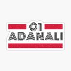 01 Adanalı Plaka Araba Sticker Yapıştırması