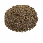 1 kg Faselya-Arı Otu Tohumu