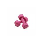 1 Kg Plastik Köşeli Dambıl Seti (2) - Evde Egzersiz ve Fitness İçin İdeal - Her Renk 101629