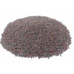 1 kg Siyah Hardal Tohumu Tozu