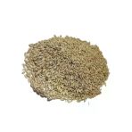 1 Kg Temizlenmiş Aspur Sade Kanarya Yemi İle Taze Beslenme