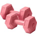 1 kg x 2 Adet Plastik Dambıl Dambıl Seti Çift Dambıl Kutulu - Pembe