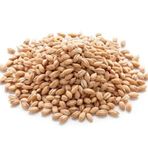 1 kg Yerli Yarma Buğday