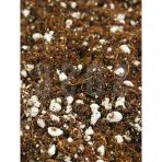 1 Lt Özel Karışım Saksı Harcı, Sphangum Torfu Ve Cocopeat İçerir