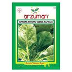 1 Paket Arzuman Ispanak Tohumu Ata Köy Ispanağı Tohumu Hediye Tohumlu