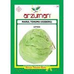 1 Paket Tohum Arzuman Aysberg Aysberk Marul Tohumu Hediye Tohumlu