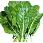 1 Paket Tohum Arzuman Yeşil Pazı Tohumu Taze Hasat Ata Tohum Hediye Tohum