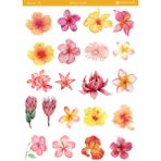 1 Sayfa Çiçek Temalı 12*17 cm Sticker /scrapbook, Bullet Journal, Planlayıcı, Defter - flwr0026