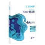 1.sınıf Hayat Bilgisi Eğitimin 4 Aşaması Teas Press Eğitim