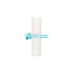 10 10 Mikron Sediment Filtre