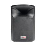 10'' 450 Watt Güçlü Profesyonel Kabin Hoparlör