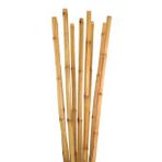 10 Adet Bambu Destek Çubuğu 100 cm