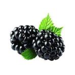10 Adet Bogurtlen Tohumu Ahududu Tohumu Ithal Bogurtlen Tohumu Surpriz Hediye Bonsai Agaci Tohumu