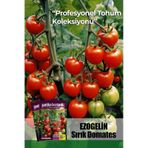 10 Adet Ezogelin Kiraz/cherry Domates Tohumu-sırık
