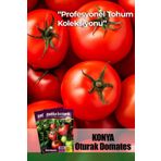 10 Adet Konya Domates Tohumu