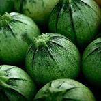 10 Adet Organik Yuvarlak Kabak Tohumu