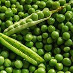 10 Adet Pea (Bezelye) Tohumu