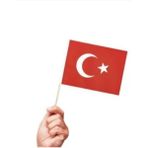 10 Adet Sopalı Kağıt Küçük Türk Bayrağı 19X23CM - Kırmızı - Beyaz - İpli - 10 cm