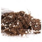 10 Litre Bonsai Ağacı Toprağı Bonzai Ağacı Toprağı Toprak Torf