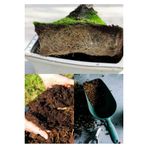 10 Litre Bonsai Toprağı %100 Organik Ve Katkısız Torf 17 Bitkinin Çözülmesinden Oluşmuş