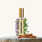 10 ML E-236 Frequence 10 ML Erkek Parfüm