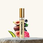 10 ML U-16 Frequence 10 ML Unisex Parfüm