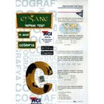 10. Sınıf Coğrafya Yaprak Test
