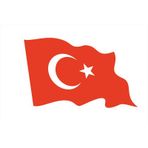 10 x 6 cm Dalgalı Türk Bayrağı Sticker Motor Araba Kask Sticker