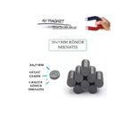 100 Adet 20 Mmx 3 Mm Yuvarlak Kömür Miknatis-Duvar Süsü-Magnet