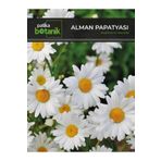 100 Adet Alman Papatya Tohumu