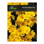 100 Adet Altın Papatya Tohumu (Anthemis Tinctoria Kelwayii)