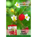 100 Adet Dağ Çileği Tohumu