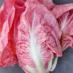 100 Adet İthal Pembe Marul Tohumu