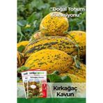 100 Adet Kırkağaç 589 Kavun Tohumu